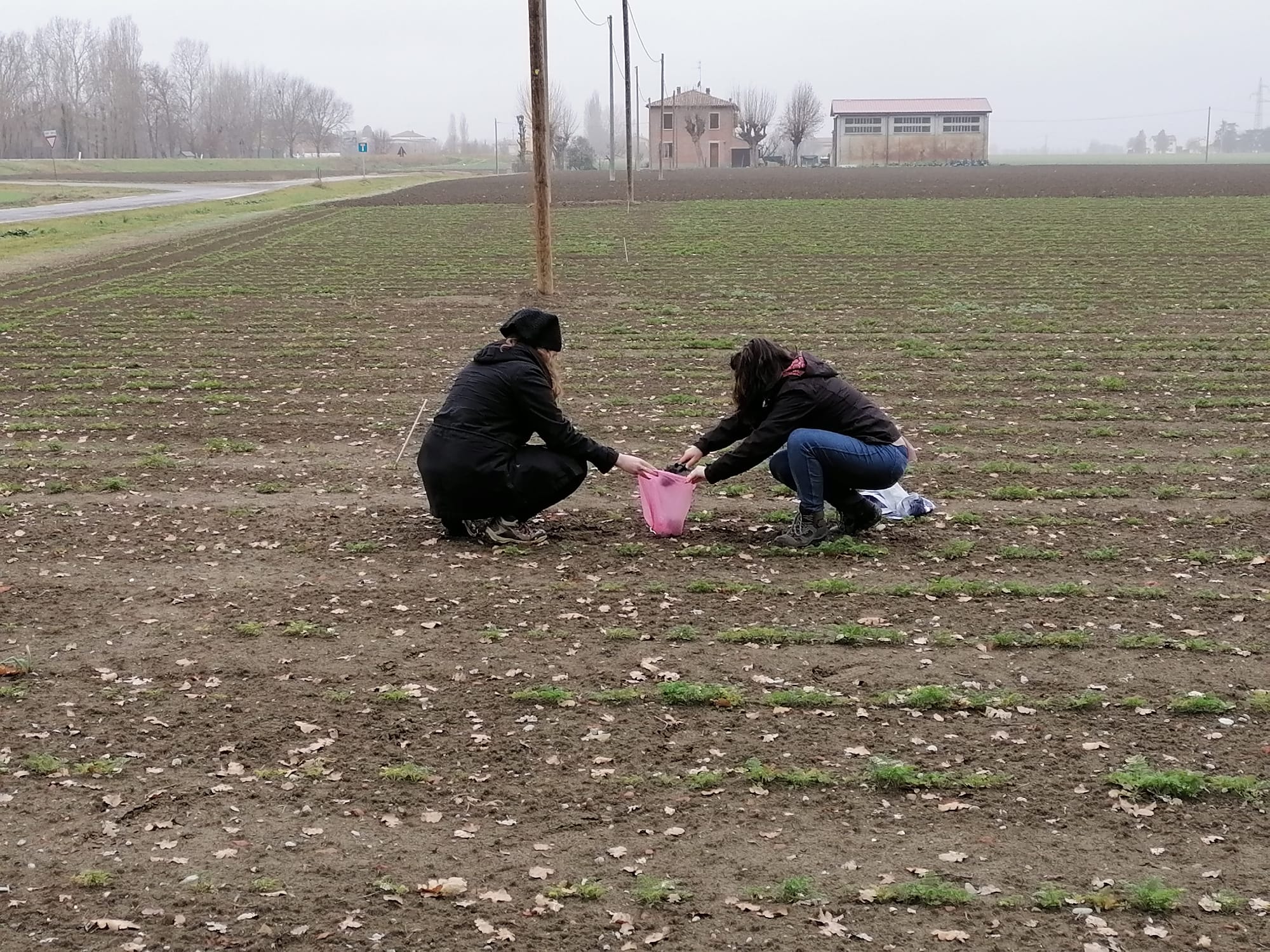 1 samples collection Medicina IT