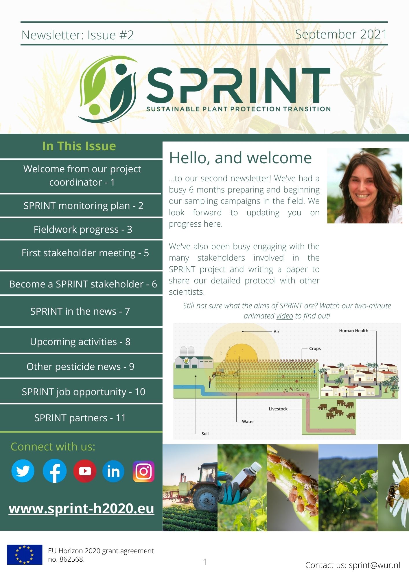 SPRINT newsletter issue 2