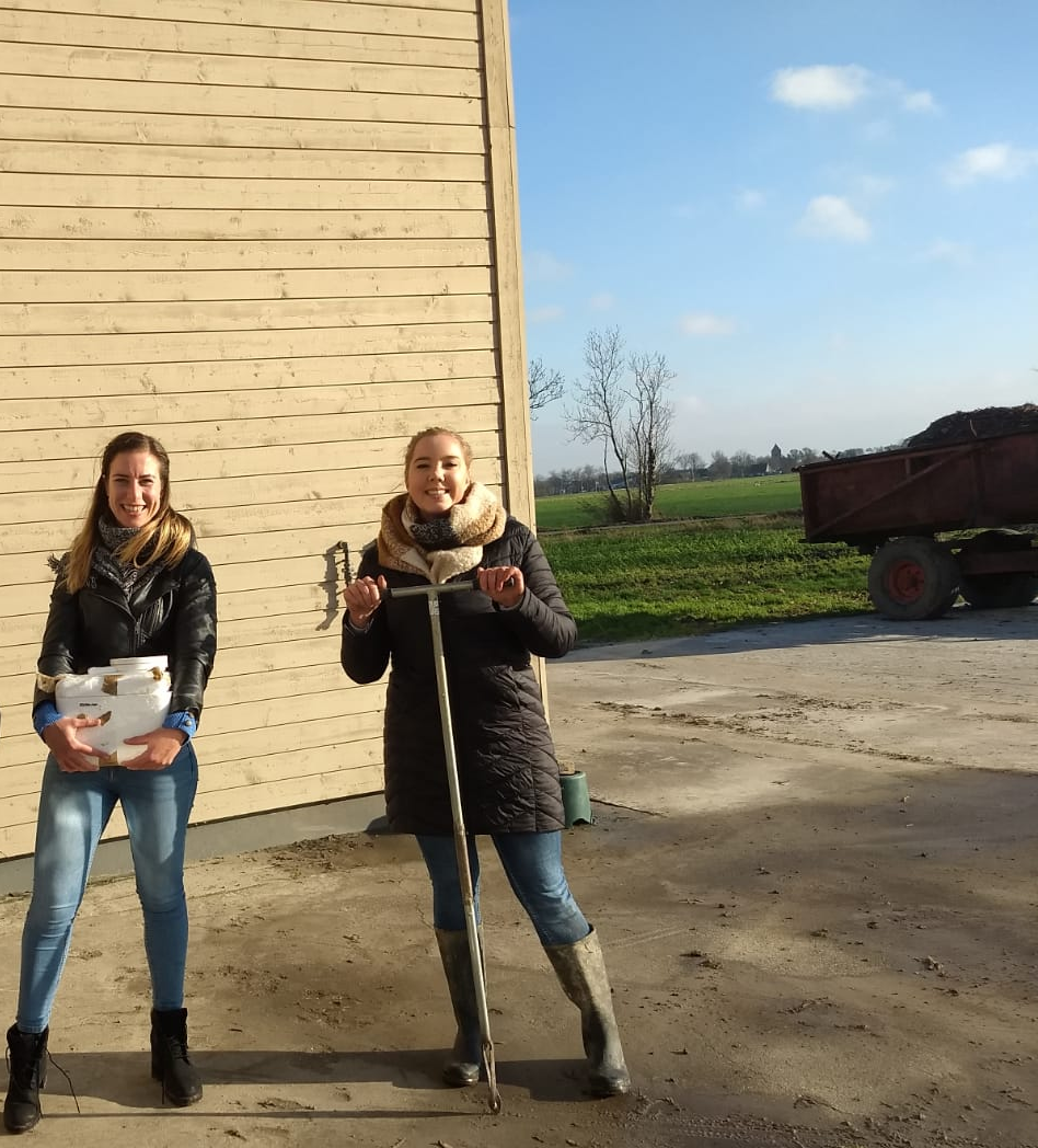 CSS presampling groningen