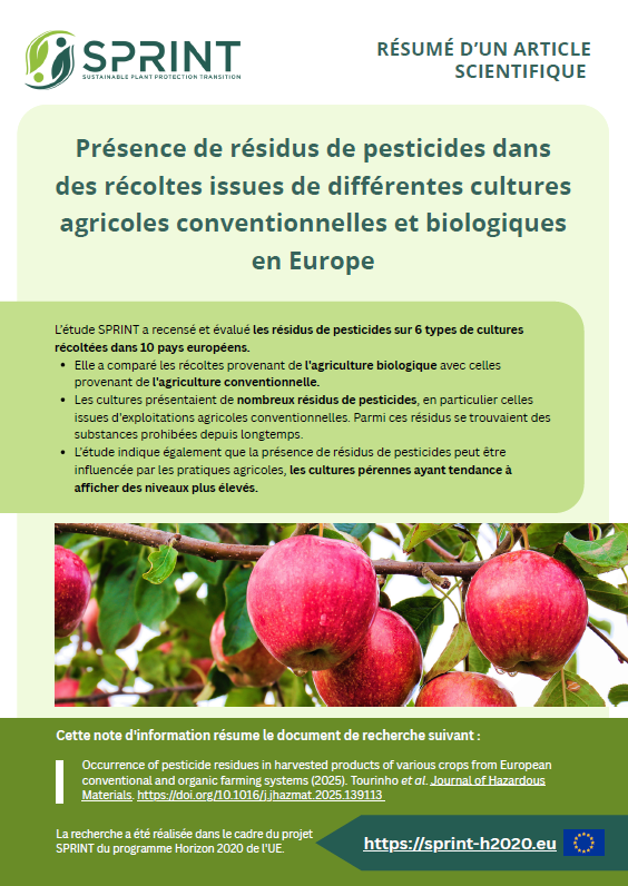 Screenshot 2025 12 09 105515