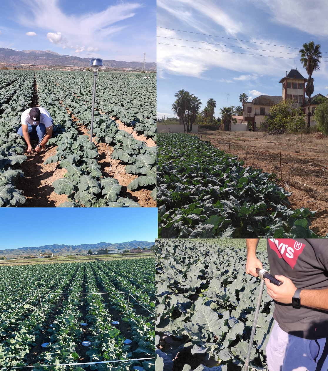 spain compilation picture