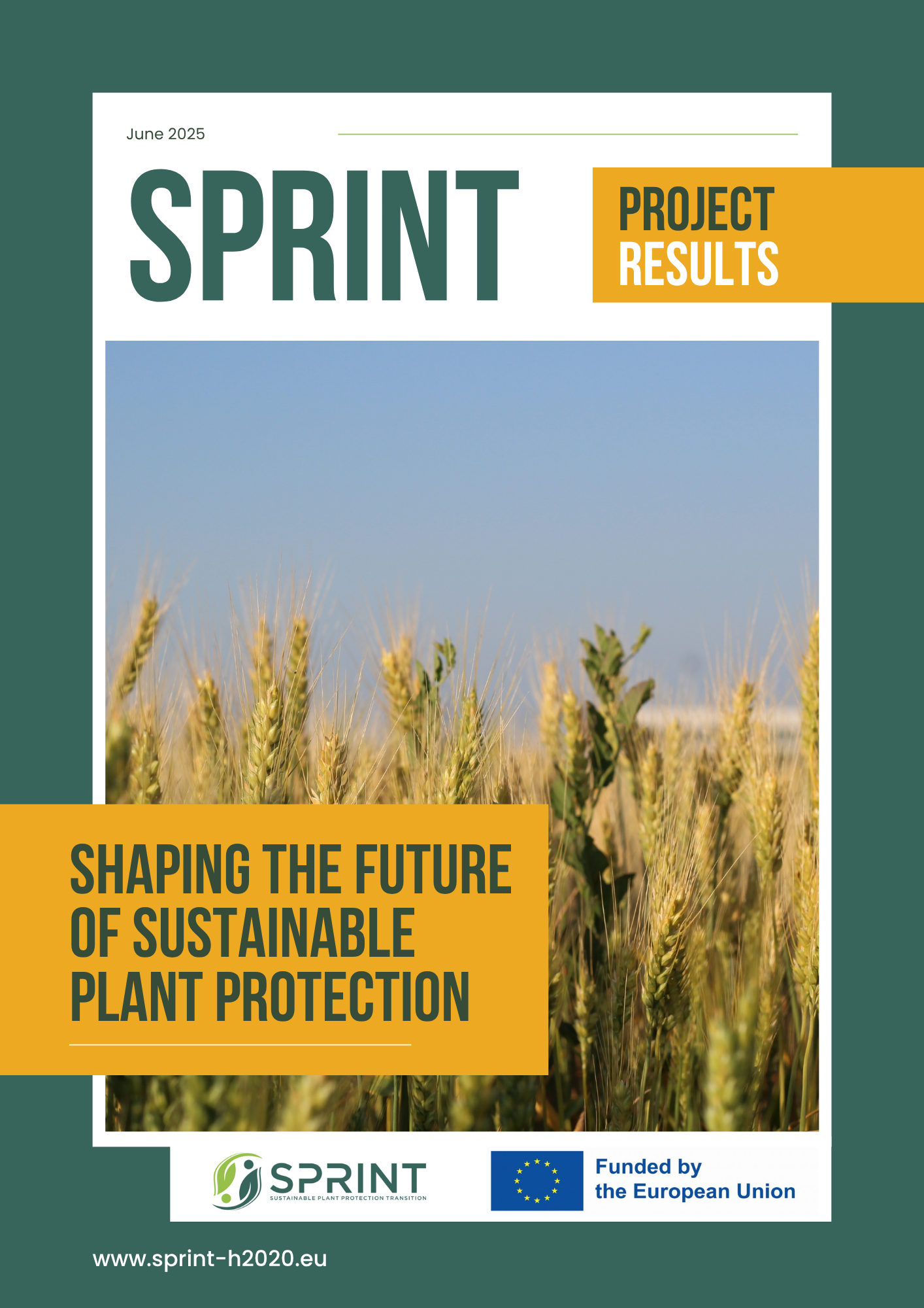 sprint final magazine