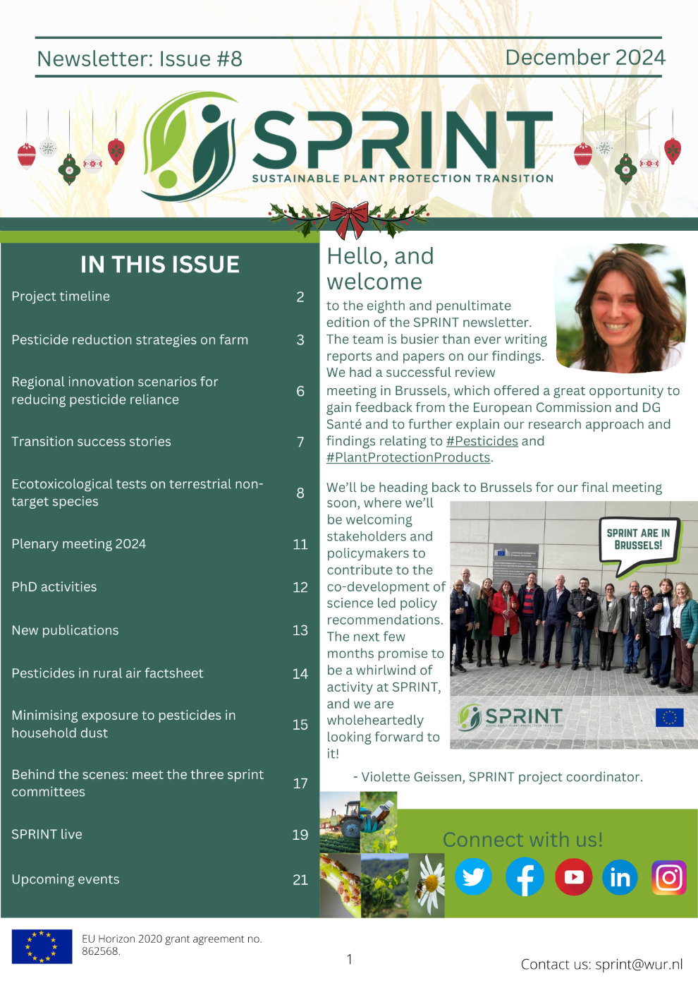 sprint newsletter 8