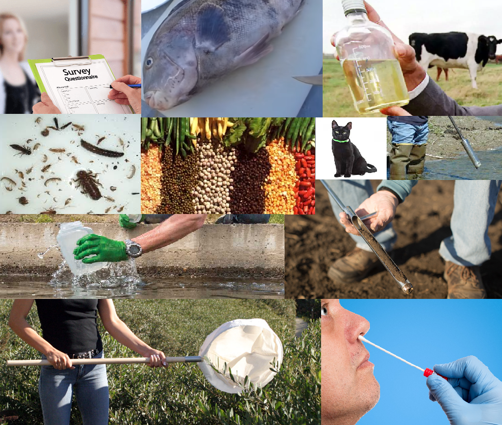 WP2 training picture