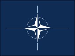Mega Guard Certification NATO